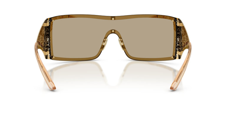 Dolce & Gabbana DG2317 02/7I