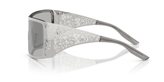Dolce & Gabbana DG2317 05/8V