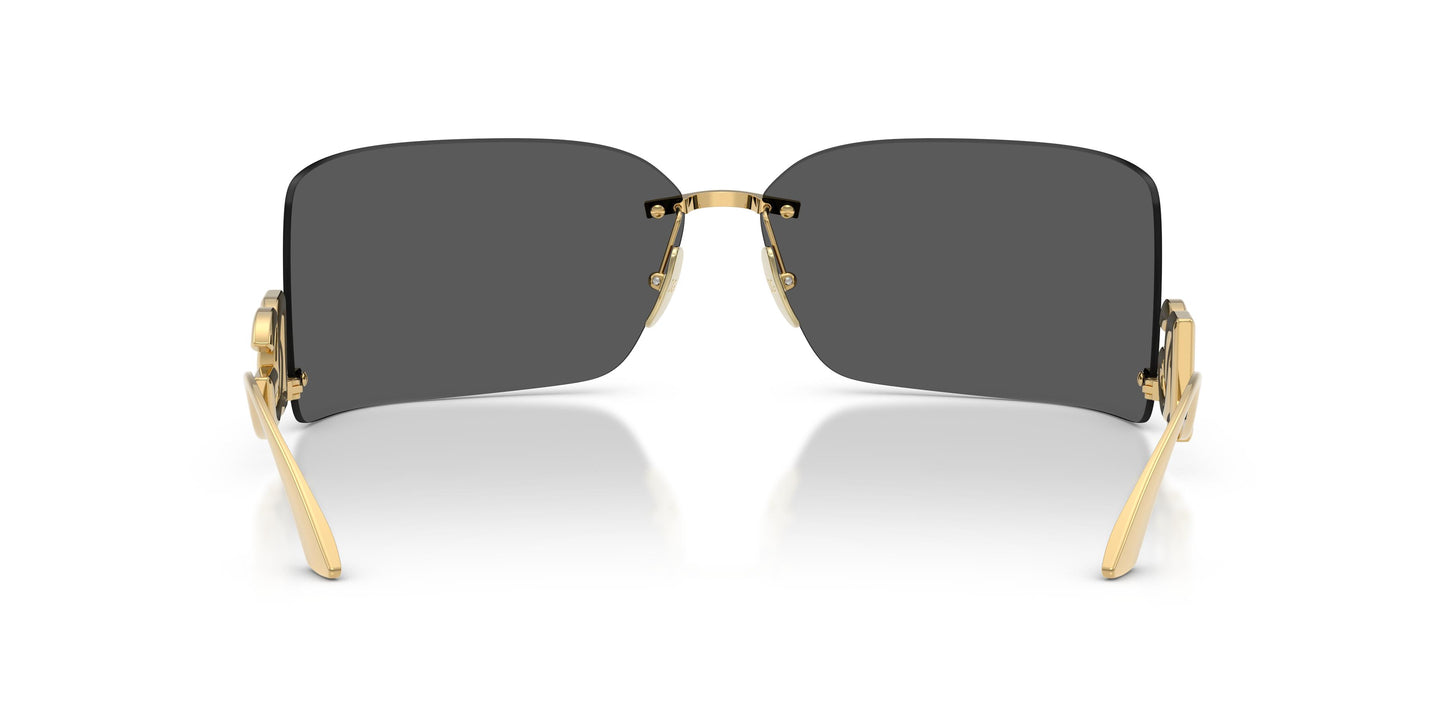 Dolce & Gabbana DG2319 02/87 76