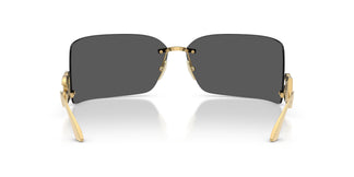Dolce & Gabbana DG2319 02/87 76