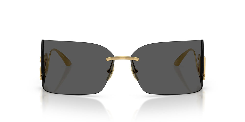 Dolce & Gabbana DG2319 02/87 76