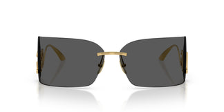 Dolce & Gabbana DG2319 02/87 76