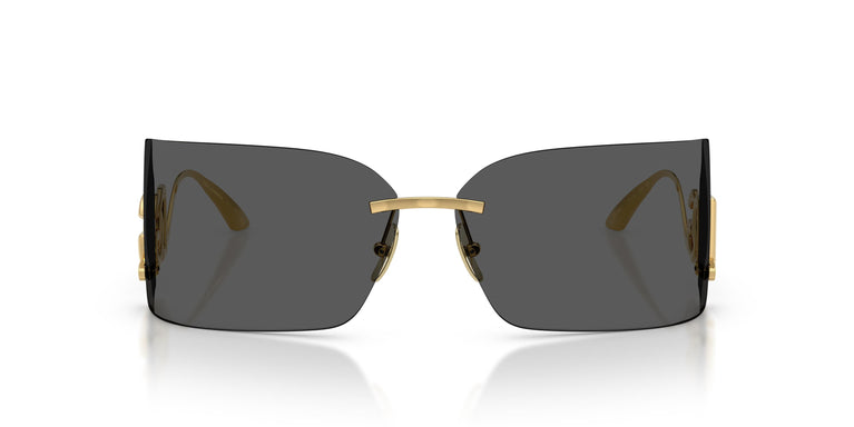 Dolce & Gabbana DG2319 02/87 76