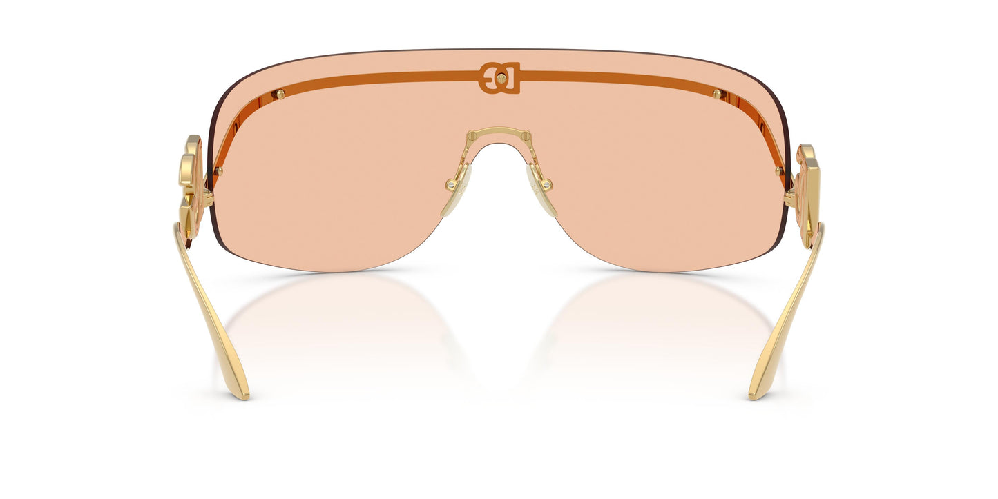 Dolce & Gabbana DG2320 02/73 0