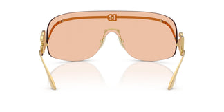 Dolce & Gabbana DG2320 02/73 0