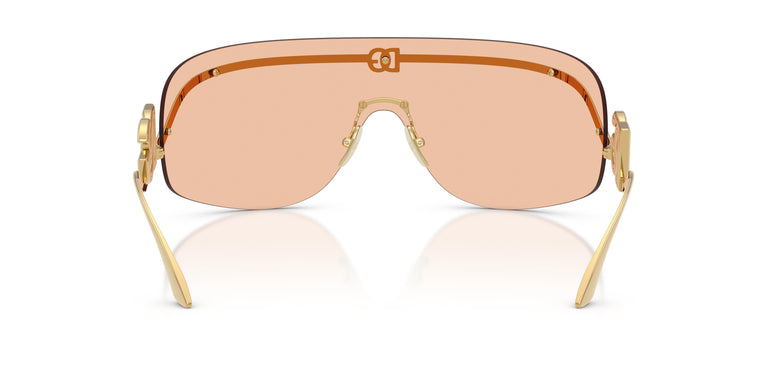 Dolce & Gabbana DG2320 02/73 0