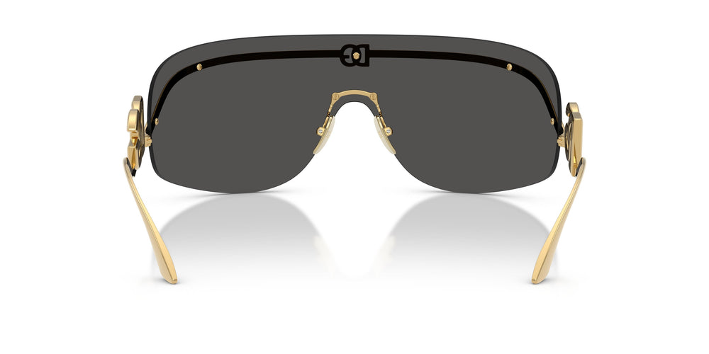 Dolce & Gabbana DG2320 02/87 0