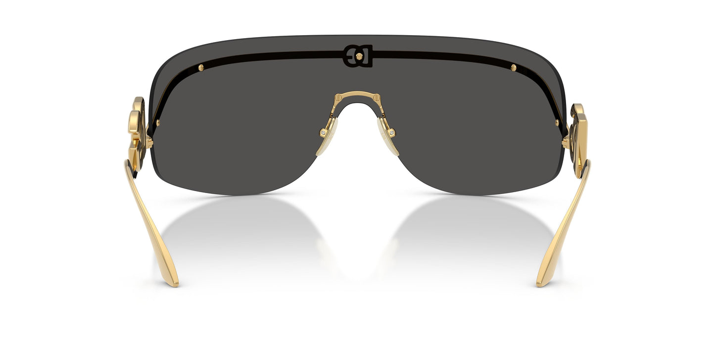 Dolce & Gabbana DG2320 02/87 0