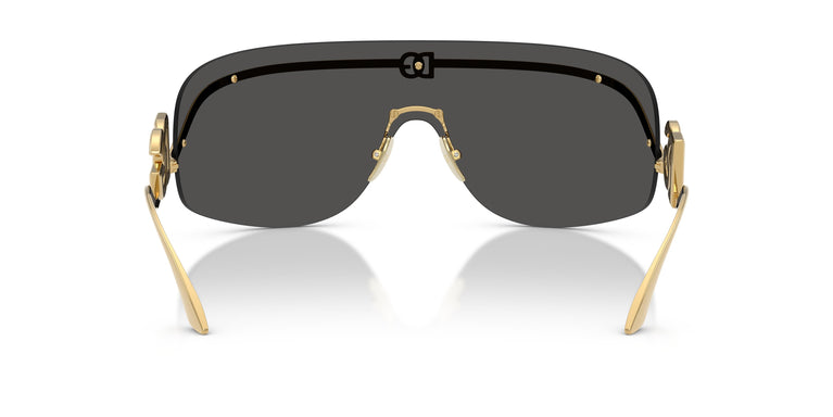 Dolce & Gabbana DG2320 02/87 0