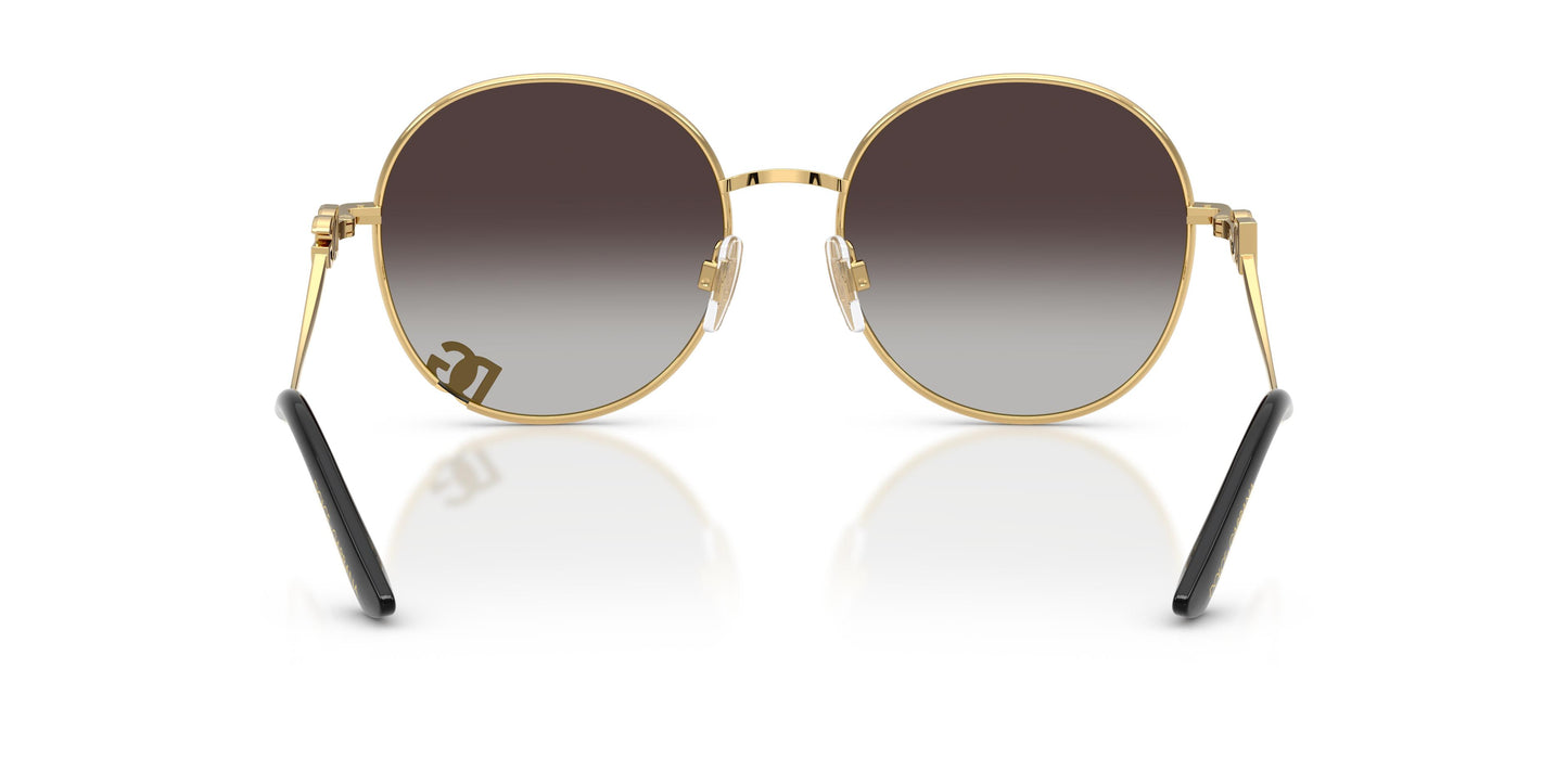 Dolce & Gabbana DG2324 02/8G 56