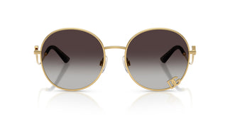Dolce & Gabbana DG2324 02/8G 56