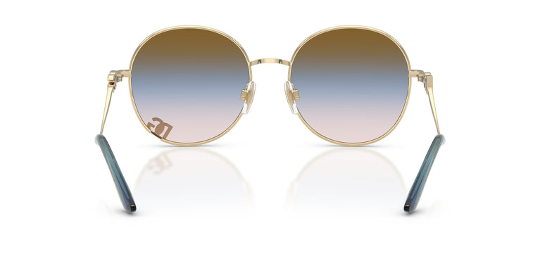 Dolce & Gabbana DG2324 488/U6 56