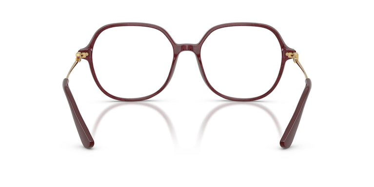Dolce & Gabbana DG3364 3442 54
