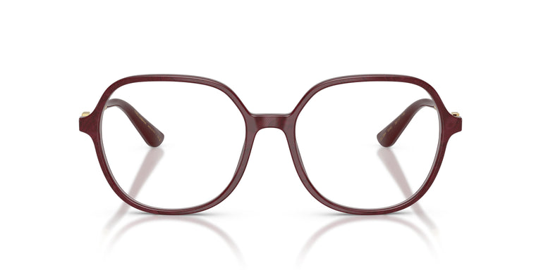 Dolce & Gabbana DG3364 3442 54