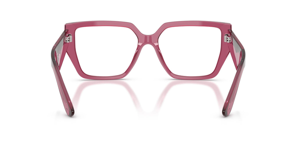 Dolce & Gabbana DG3373 3211 53