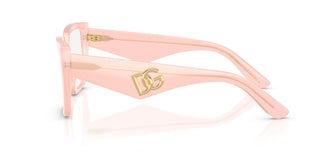 Dolce & Gabbana DG3373 3384 53