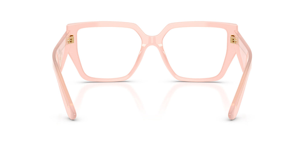 Dolce & Gabbana DG3373 3384 53