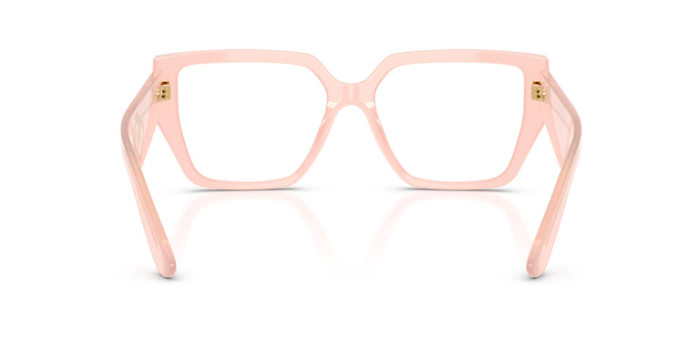 Dolce & Gabbana DG3373 3384 53