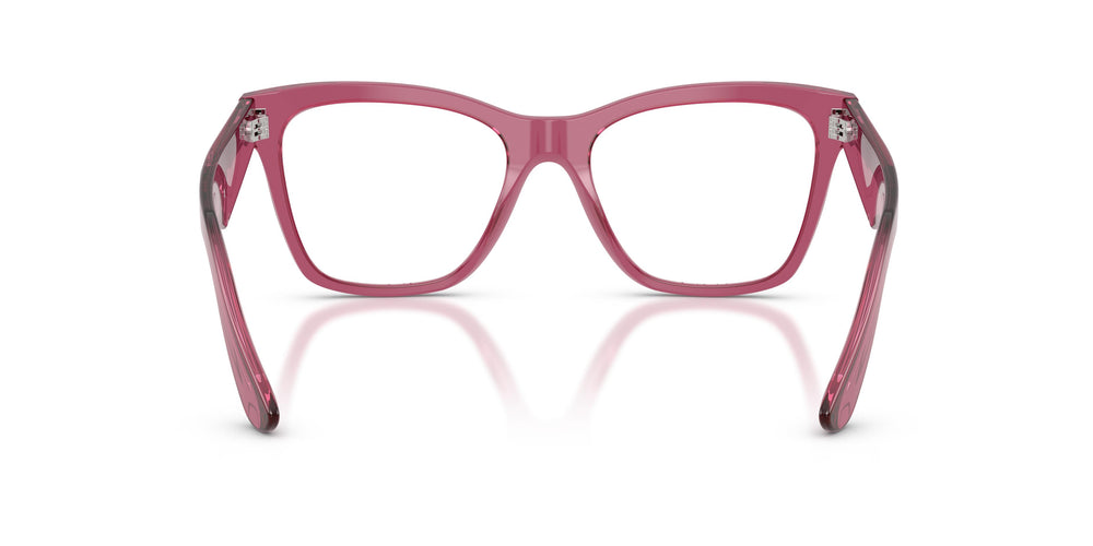 Dolce & Gabbana DG3374 3211 53