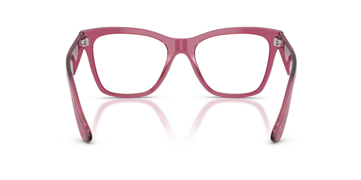 Dolce & Gabbana DG3374 3211 53