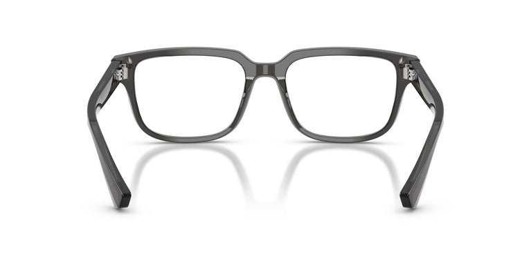 Dolce & Gabbana DG3380 3160 54