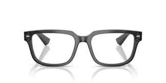 Dolce & Gabbana DG3380 3160 54