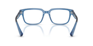 Dolce & Gabbana DG3380 3398 54