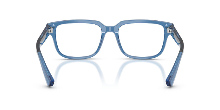 Dolce & Gabbana DG3380 3398 54