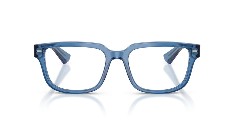 Dolce & Gabbana DG3380 3398 54