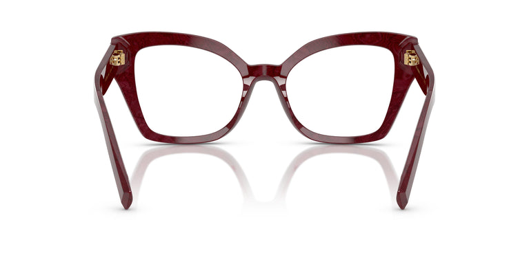Dolce & Gabbana DG3386 3442 53