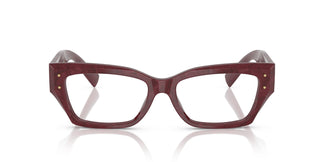 Dolce & Gabbana DG3387 3442 53