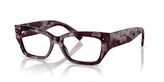 Dolce & Gabbana DG3387 3464 53