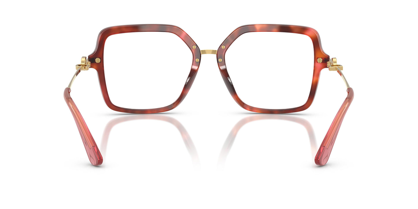 Dolce & Gabbana DG3396 3444 55