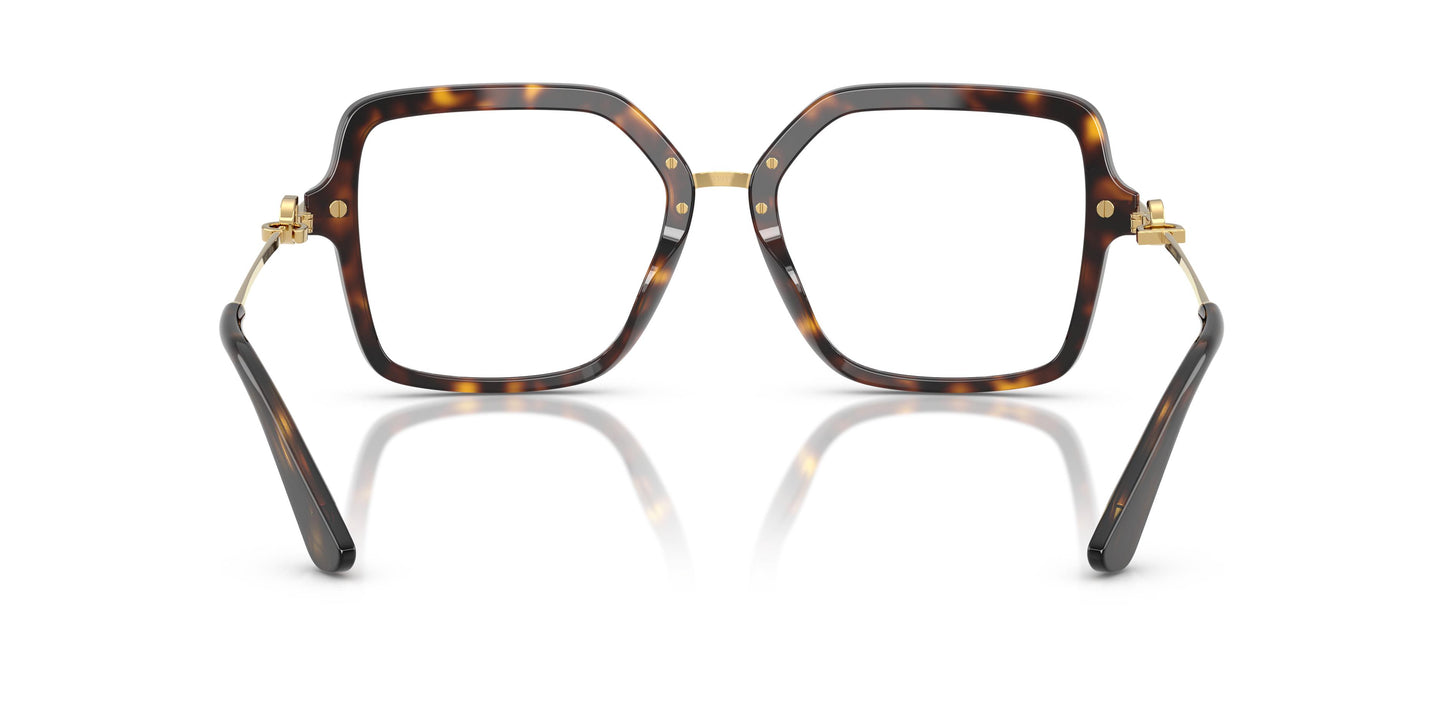 Dolce & Gabbana DG3396 502 53