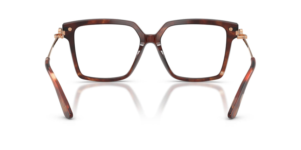 Dolce & Gabbana DG3397 3222 54