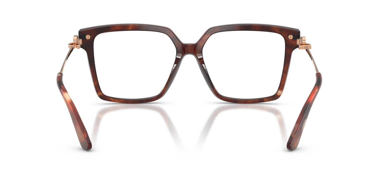 Dolce & Gabbana DG3397 3222 54