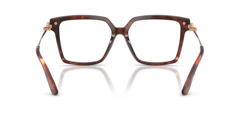Dolce & Gabbana DG3397 3222 54