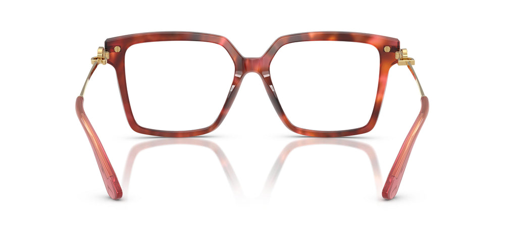Dolce & Gabbana DG3397 3444 56