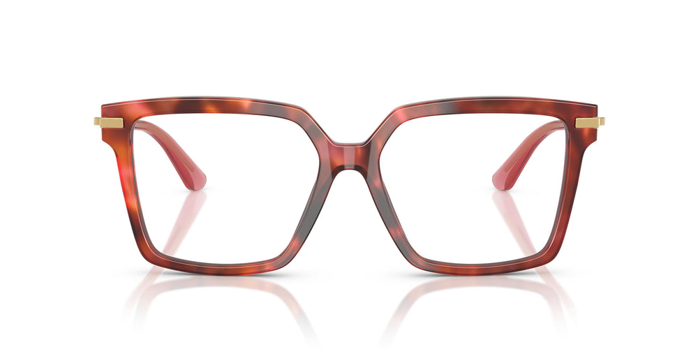 Dolce & Gabbana DG3397 3444 54