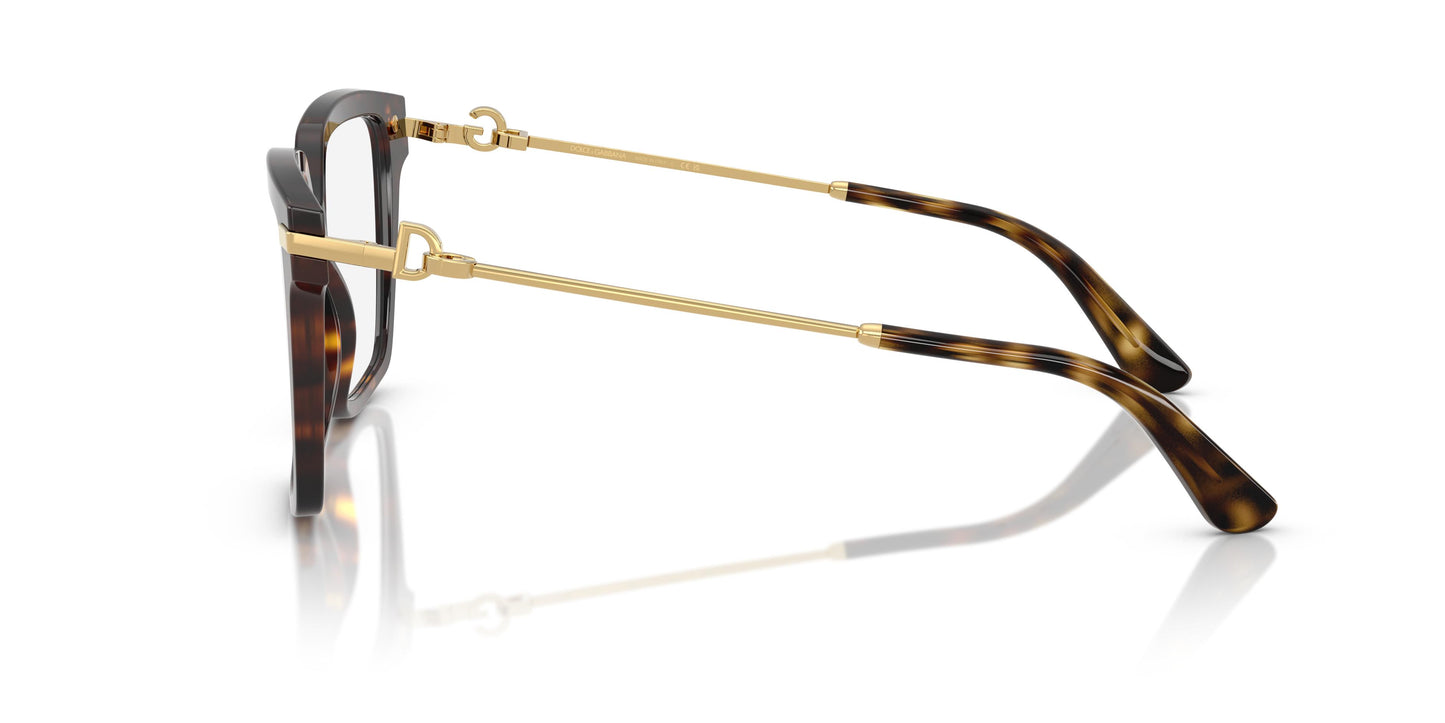 Dolce & Gabbana DG3397 502 54