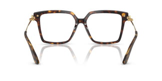 Dolce & Gabbana DG3397 502 54