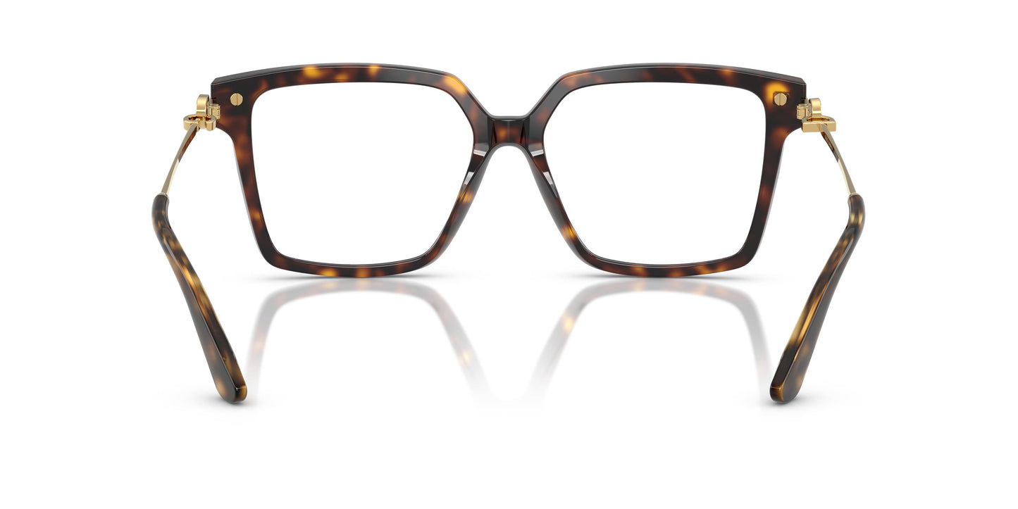 Dolce & Gabbana DG3397 502 56