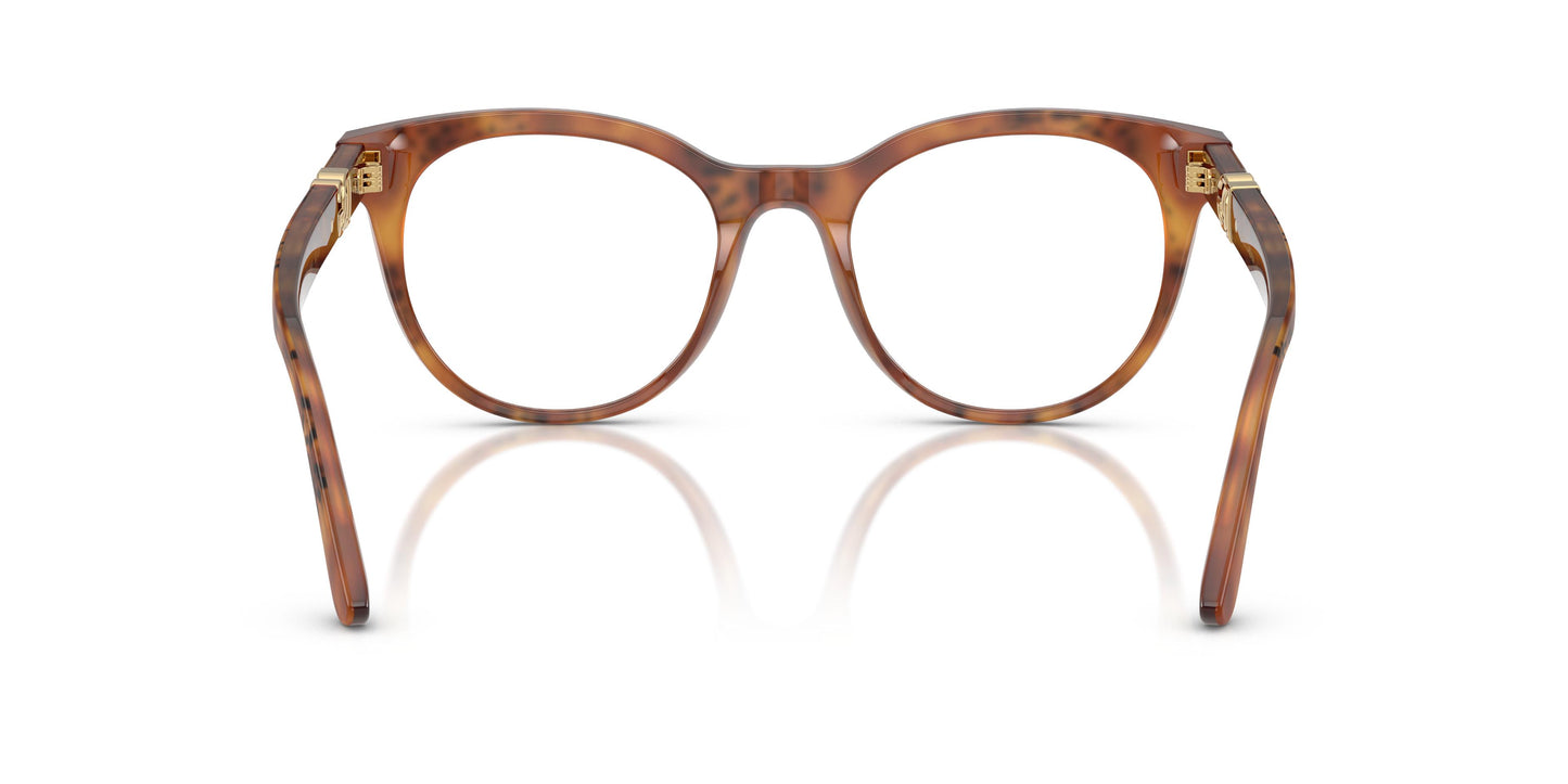 Dolce & Gabbana DG3399 3380 50