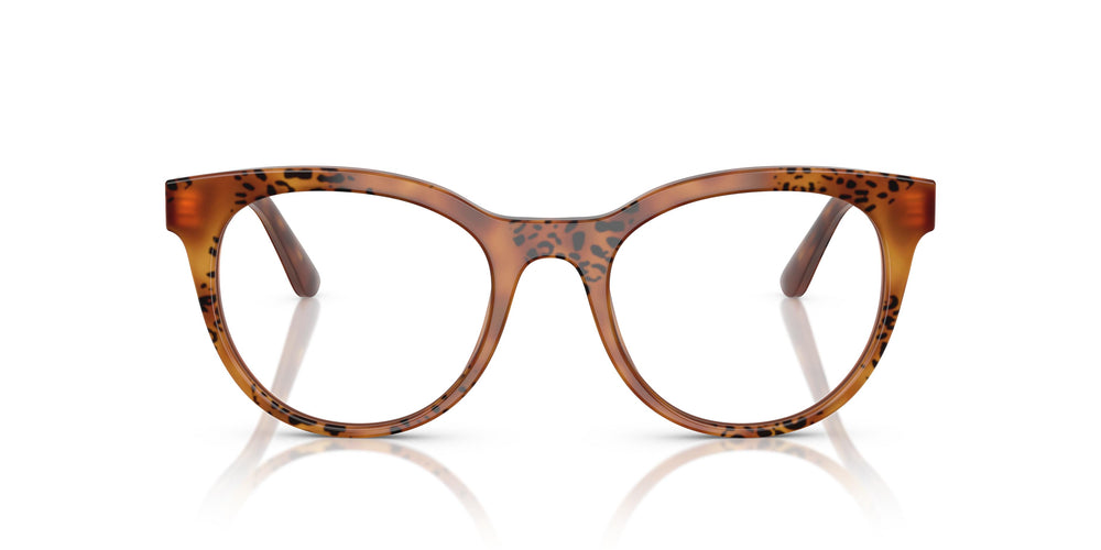 Dolce & Gabbana DG3399 3380 50