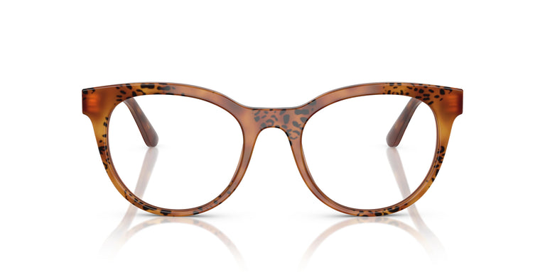 Dolce & Gabbana DG3399 3380 50