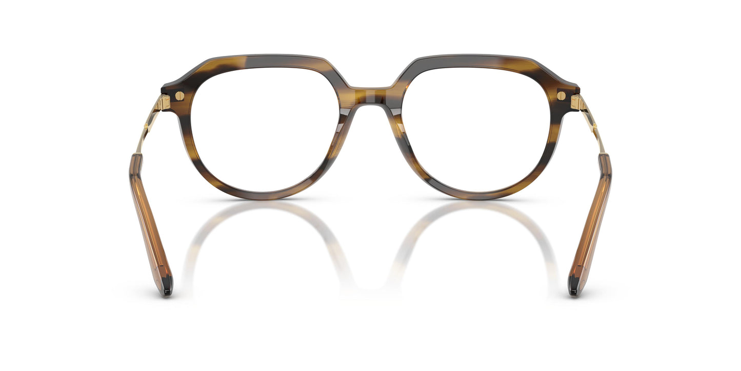 Dolce & Gabbana DG3402 3446 50