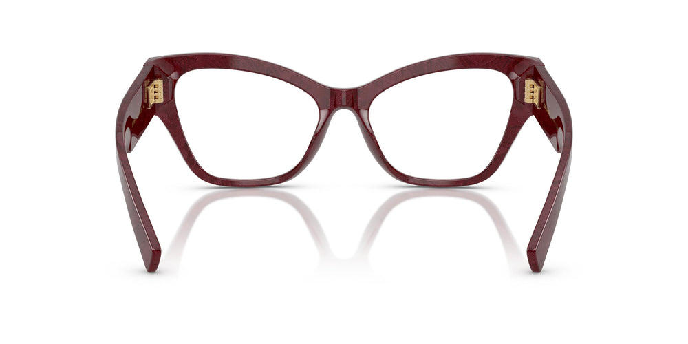 Dolce & Gabbana DG3404 3442 54