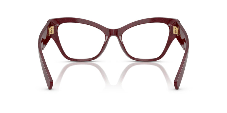 Dolce & Gabbana DG3404 3442 54