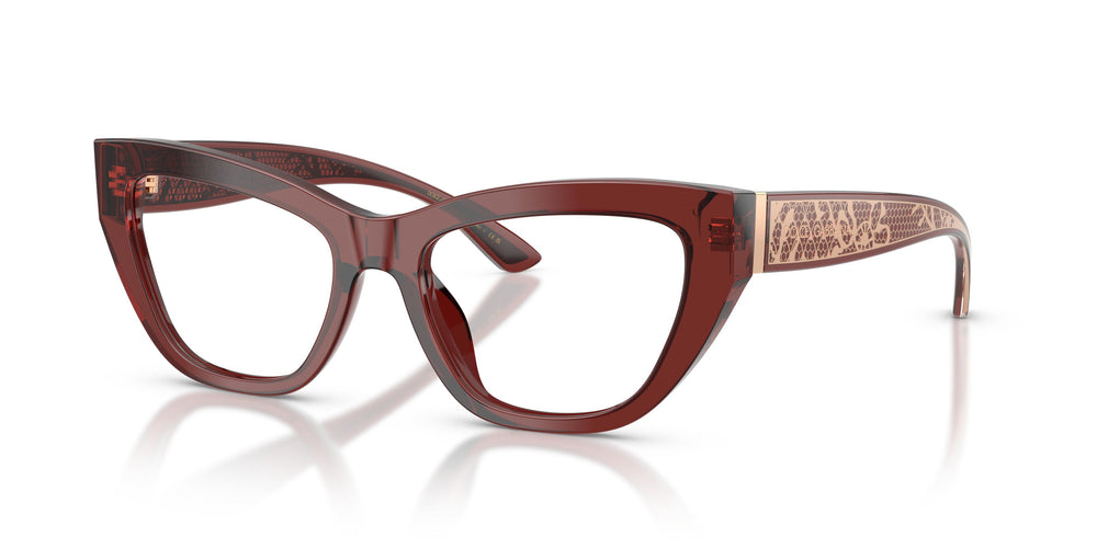 Dolce & Gabbana DG3412 3045 53