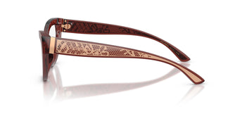 Dolce & Gabbana DG3412 3045 51